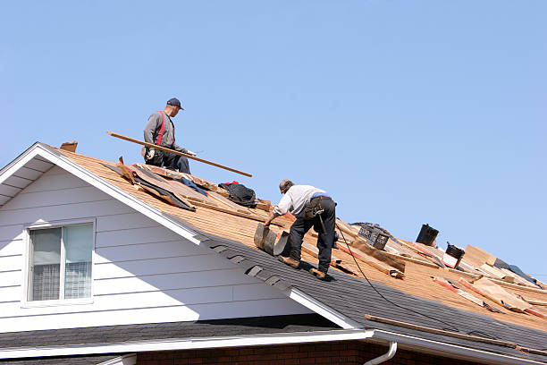 Best Rubber Roofing (EPDM, TPO)  in East Camden, SC
